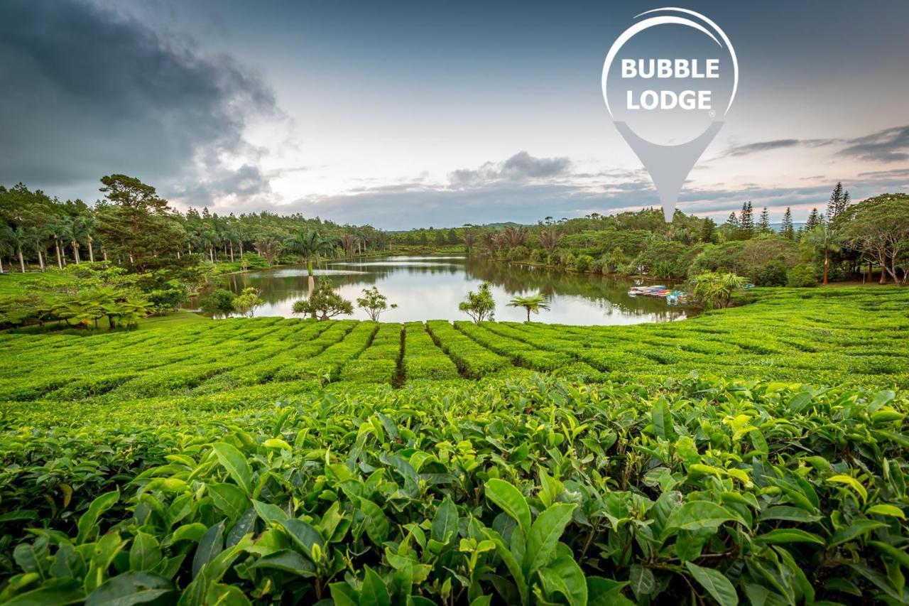 Bubble Lodge Bois Cheri Plantation Exteriér fotografie