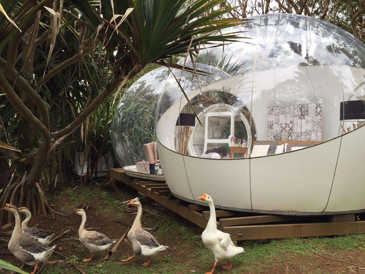 Bubble Lodge Bois Cheri Plantation Exteriér fotografie