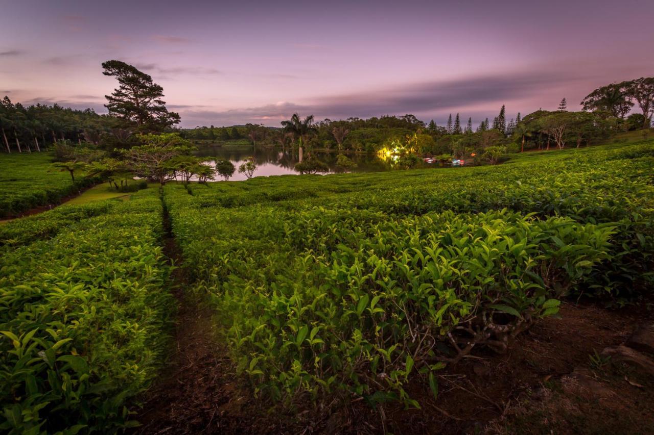 Bubble Lodge Bois Cheri Plantation Exteriér fotografie