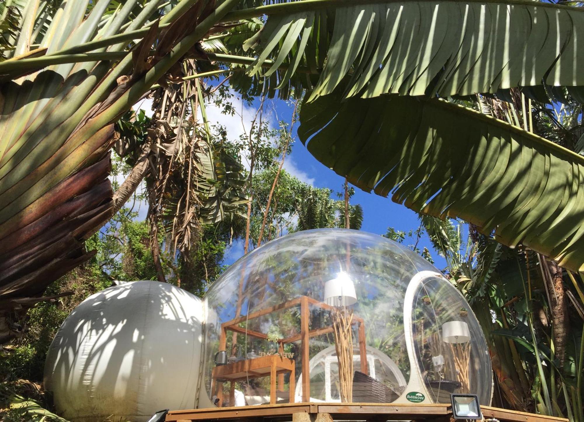 Bubble Lodge Bois Cheri Plantation Exteriér fotografie