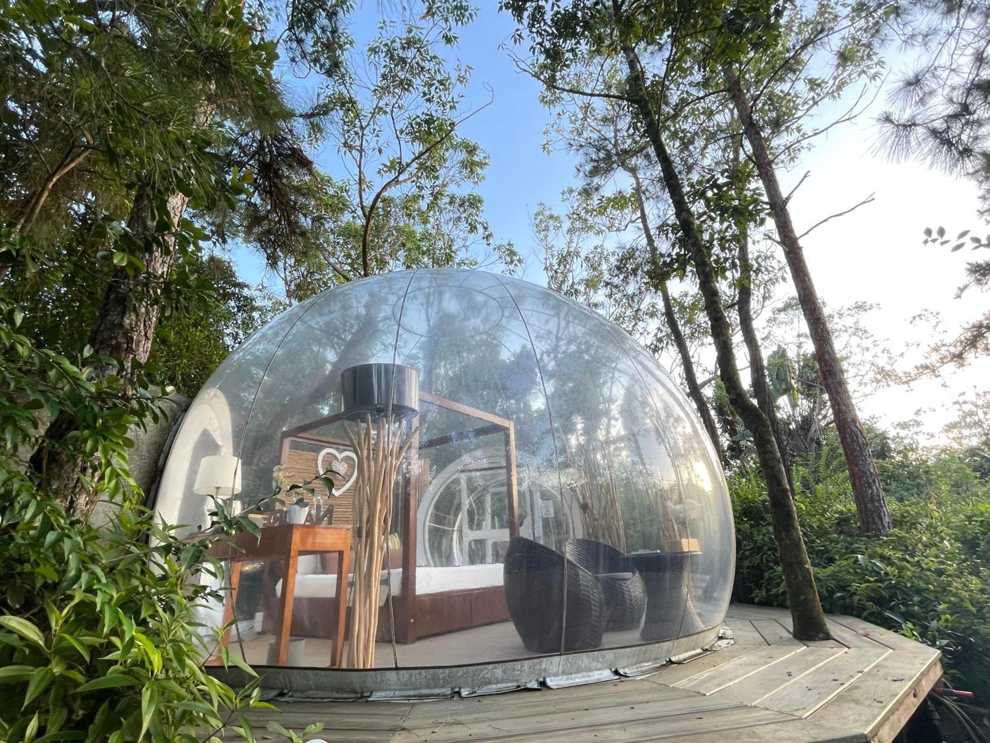 Bubble Lodge Bois Cheri Plantation Exteriér fotografie