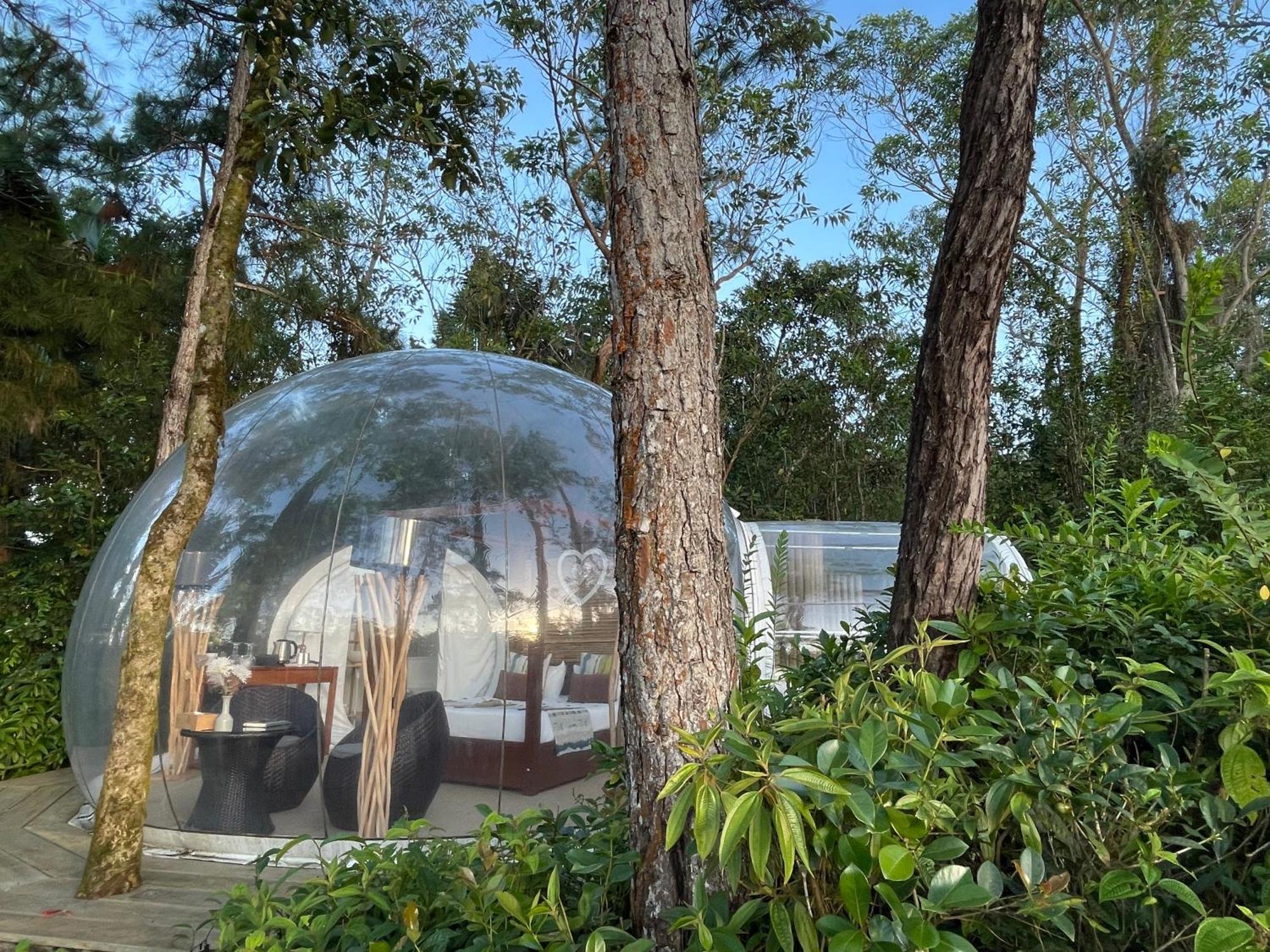 Bubble Lodge Bois Cheri Plantation Exteriér fotografie