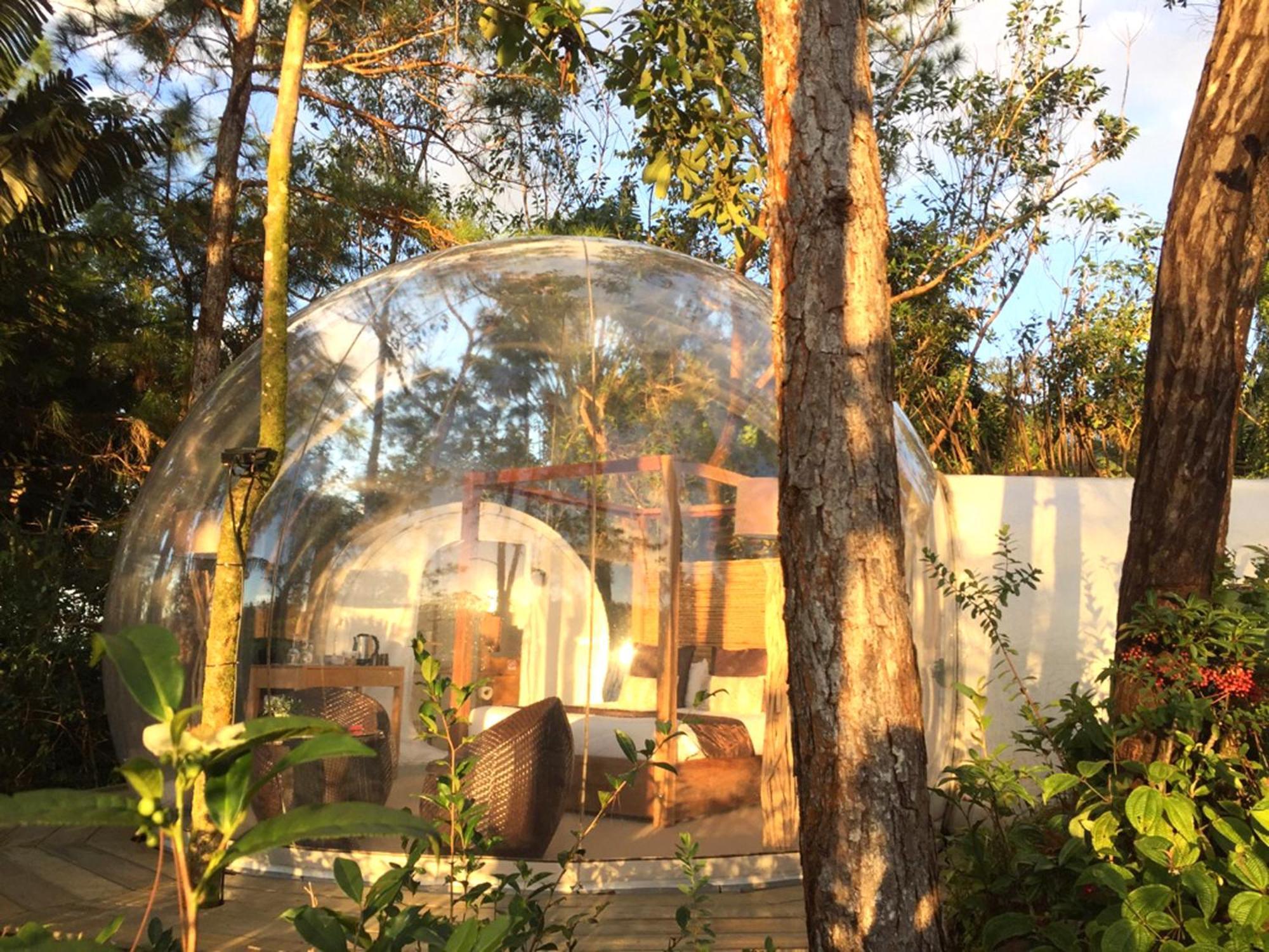 Bubble Lodge Bois Cheri Plantation Pokoj fotografie